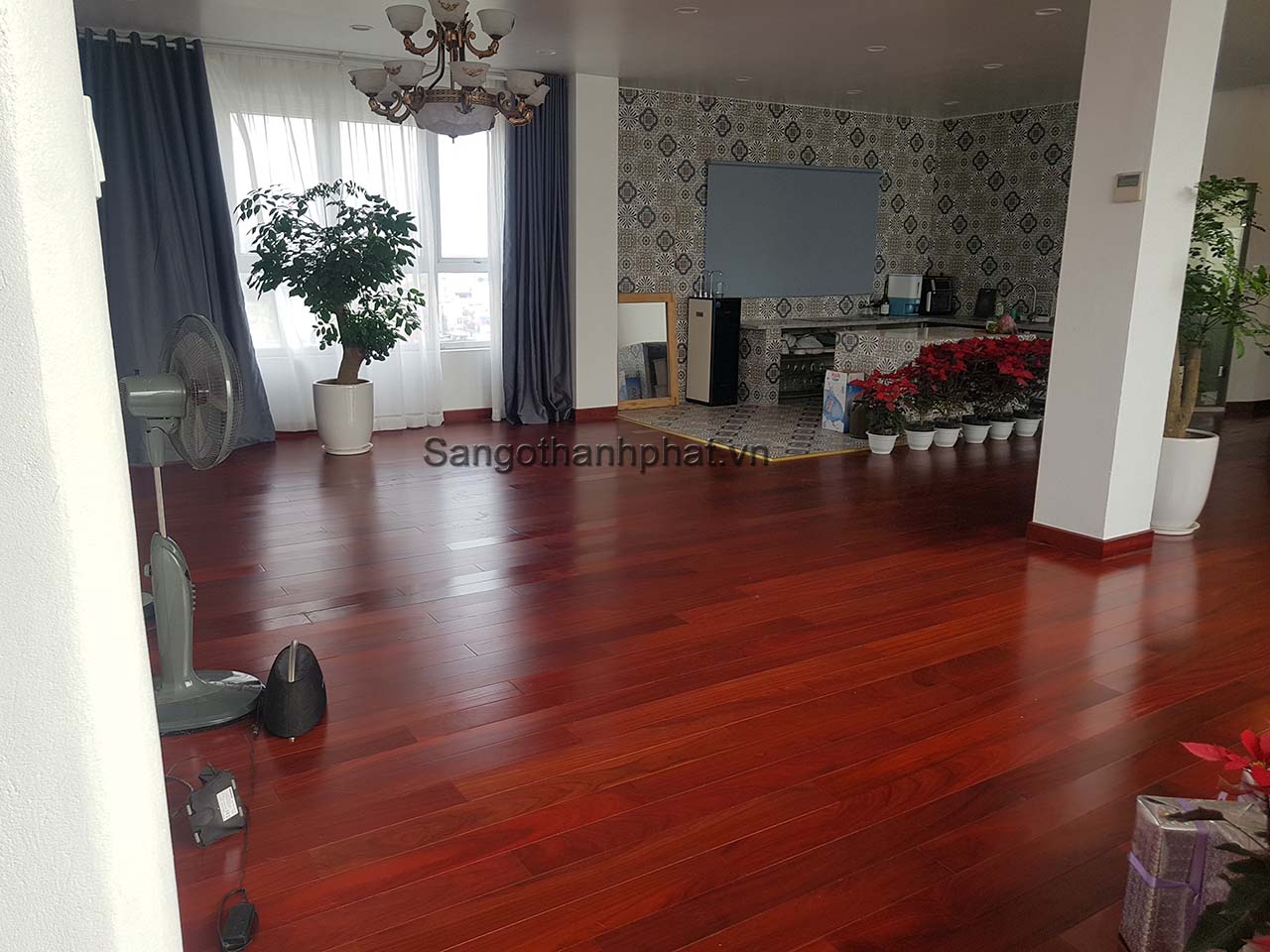 Ván sàn gỗ Hương đỏ Nam Phi